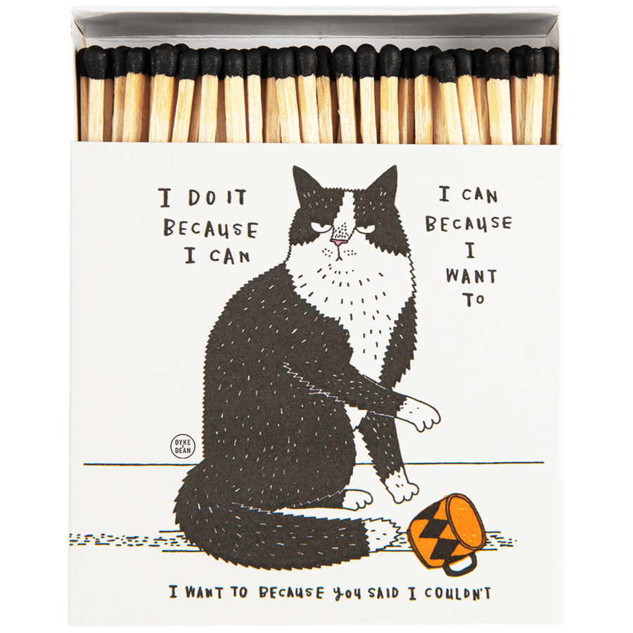 I DO IT BECAUSE I CAN LUXURY SAFETY MATCHES