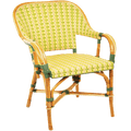 BISTRO RATTAN ARMCHAIR YELLOW GREEN - DYKE & DEAN