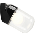 BLACK CLEAR PORCELAIN WATERPROOF ANGLED WALL LIGHT - DYKE & DEAN
