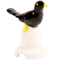 CERAMIC BLACKBIRD PIE VENT PIE BIRD - DYKE & DEAN