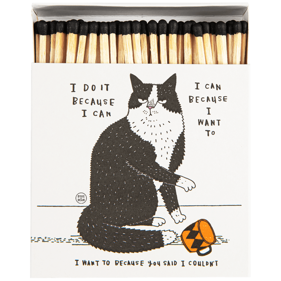 I DO IT BECAUSE I CAN LUXURY SAFETY MATCHES - DYKE & DEAN