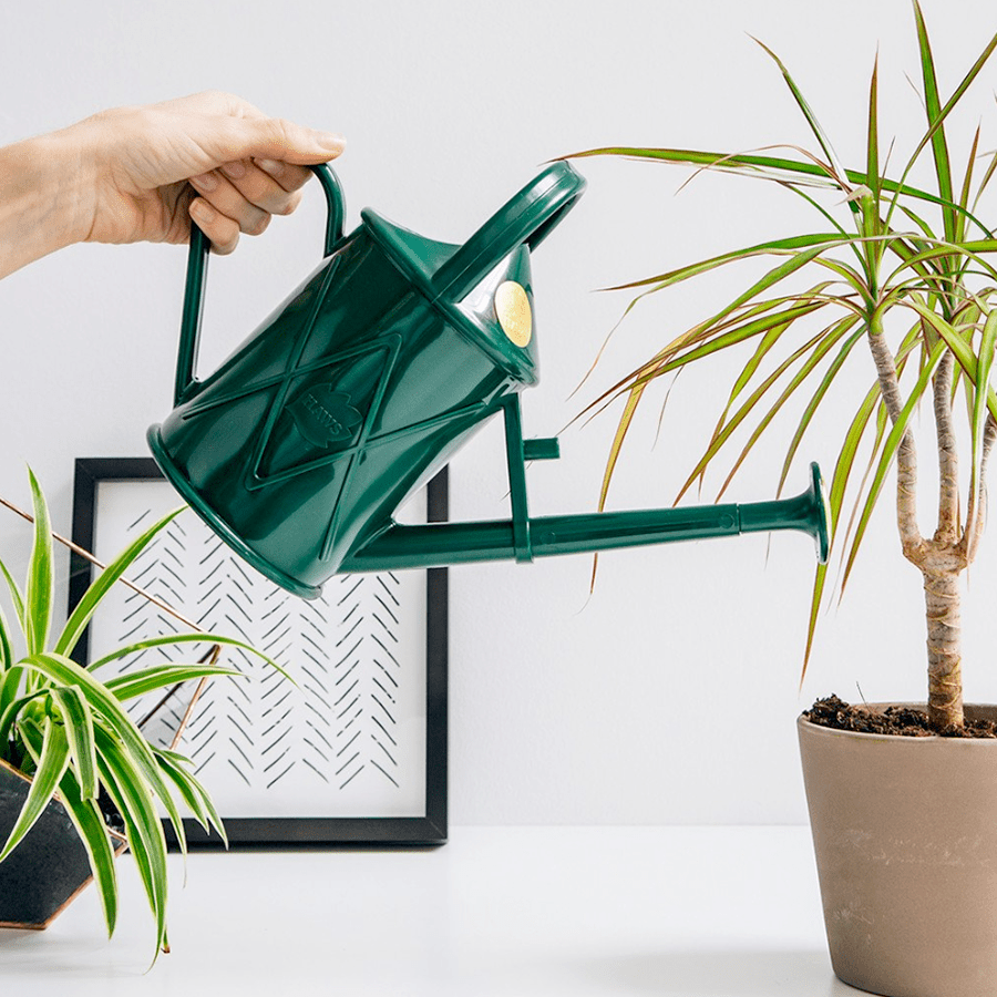 INDOOR PLASTIC WATERING CAN BLUE - DYKE & DEAN