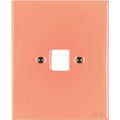 KATY PATY PORCELAIN PLATE PC/ USB WALL SOCKET SALMON PINK - DYKE & DEAN
