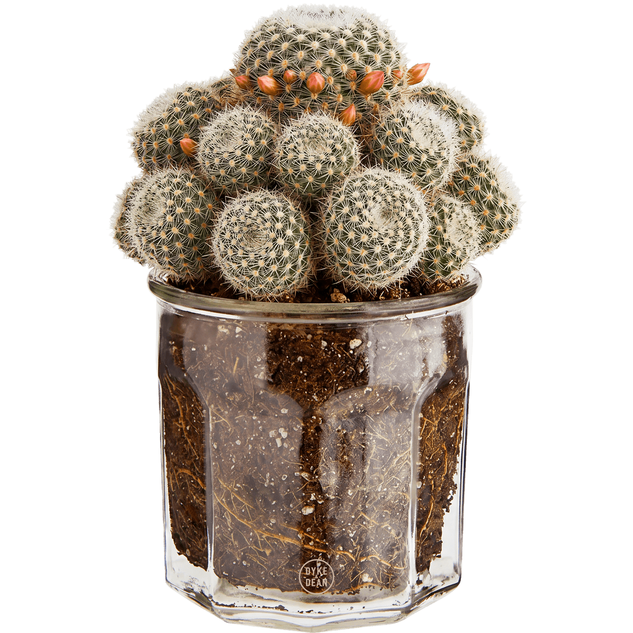 LE PARFAIT JAM JAR 445ml - DYKE & DEAN