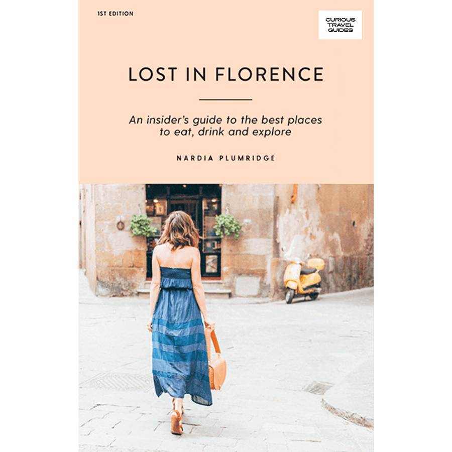 LOST IN FLORENCE GUIDE BOOK - DYKE & DEAN