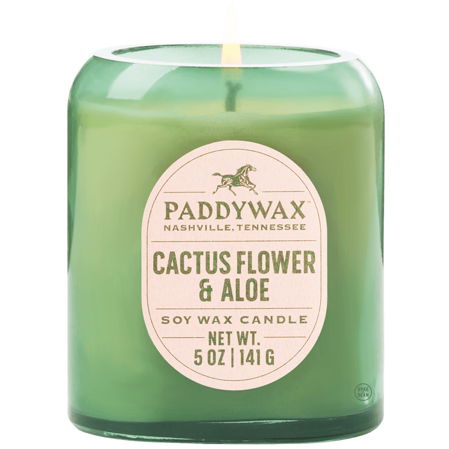PADDYWAX VISTA CACTUS GREEN GLASS CANDLE CACTUS FLOWER & ALOE - DYKE & DEAN