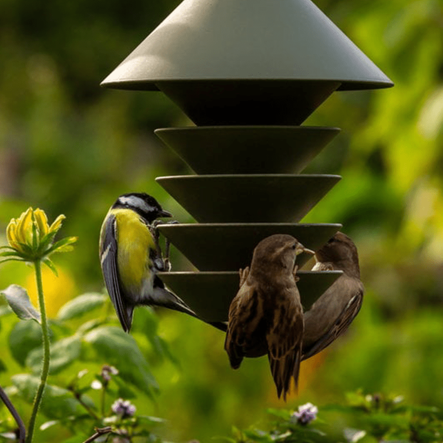 PIDAT BIRD FEEDER MOSS GREEN - DYKE & DEAN