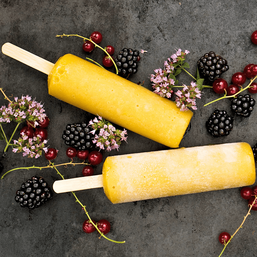 ROUND STAINLESS STEEL POPSICLE MOULD - DYKE & DEAN