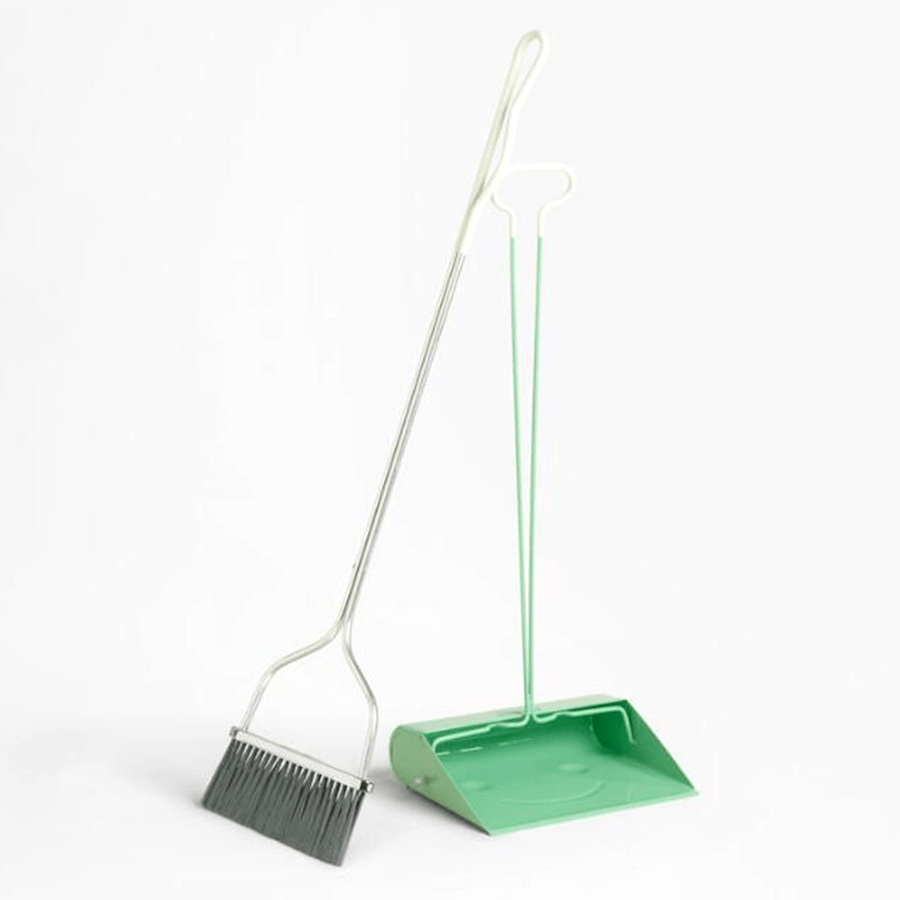 SMILEY DUST BROOM SET LONG HANDLE GREEN - DYKE & DEAN