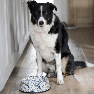 SPLATTERWARE ENAMEL DOG BOWL BLUE & WHITE - DYKE & DEAN