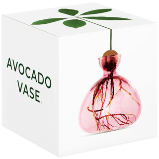 AVOCADO VASE - DYKE & DEAN