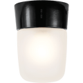 DUROPLAST REAR WIRED WALL & CEILING LIGHT FROSTED - DYKE & DEAN