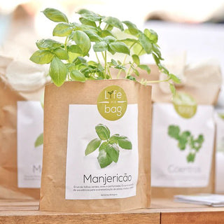 GROW BAG BASIL - DYKE & DEAN