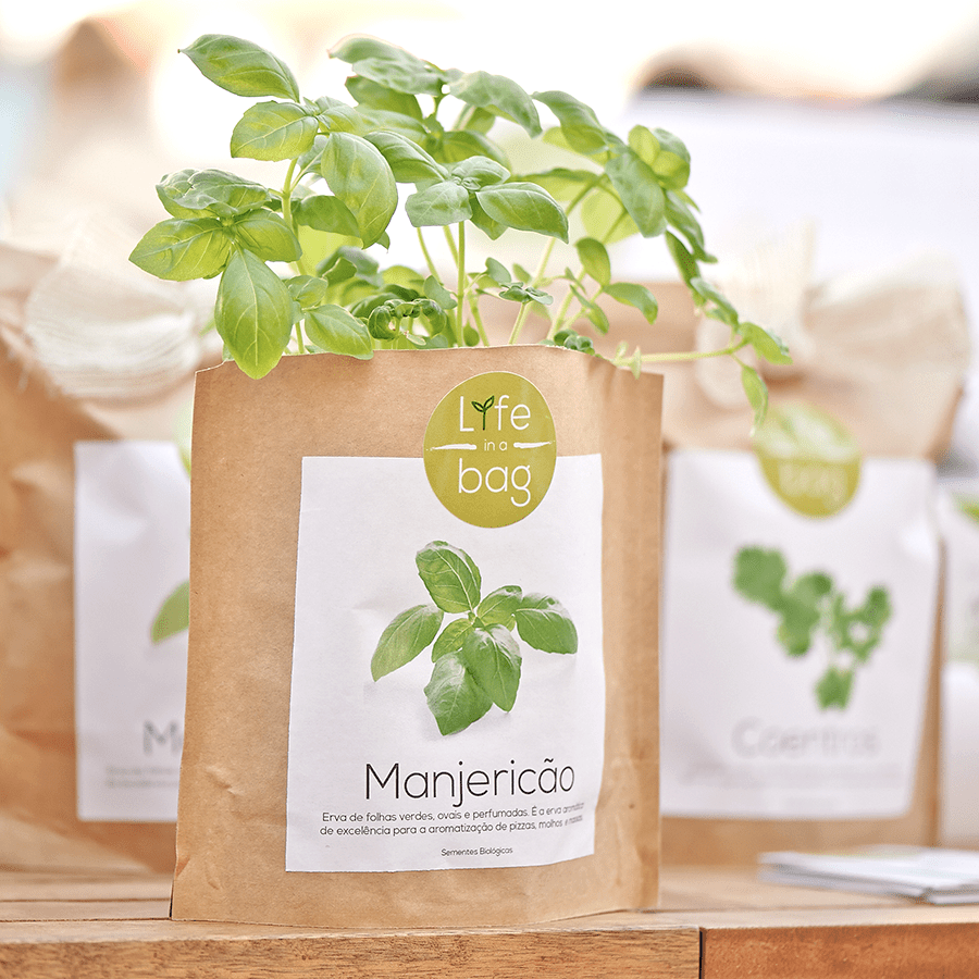 GROW BAG CHERRY TOMATO - DYKE & DEAN