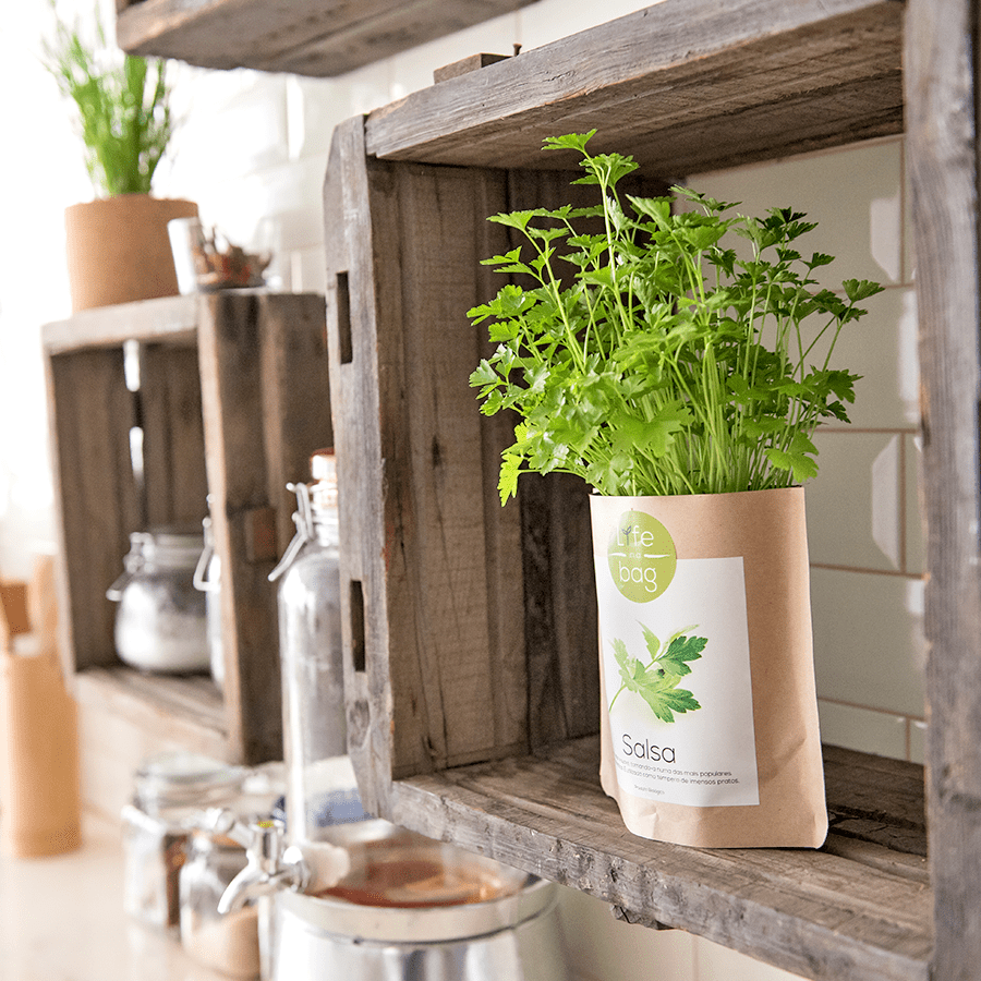 GROW BAG CHERRY TOMATO - DYKE & DEAN