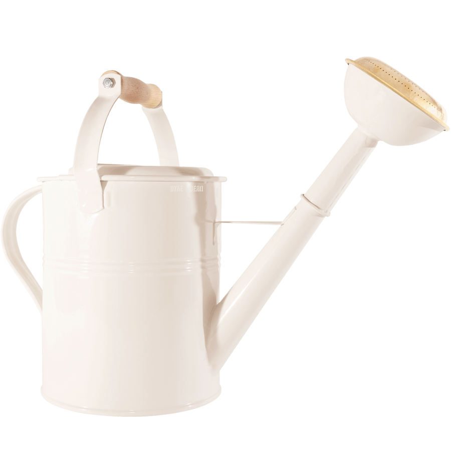 LARGE WATERING CAN ROSE SPOUT CREAM - DYKE & DEAN