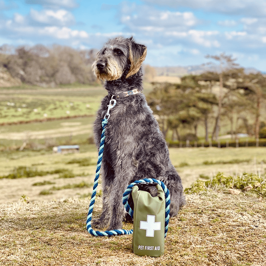 WATERPROOF PET FIRST AID KIT - DYKE & DEAN